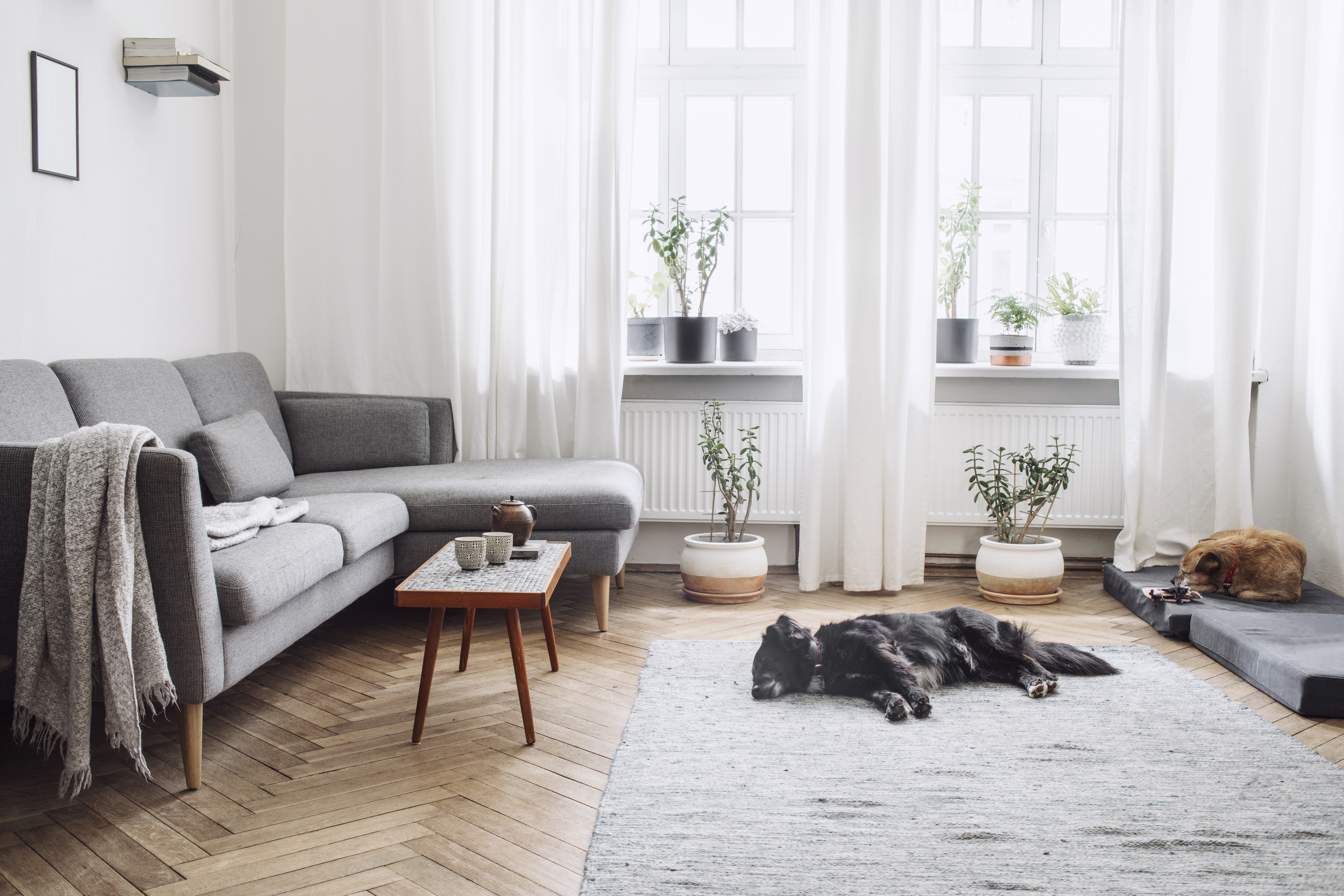 How to Keep Your Home Smelling Fresh — Naturally
